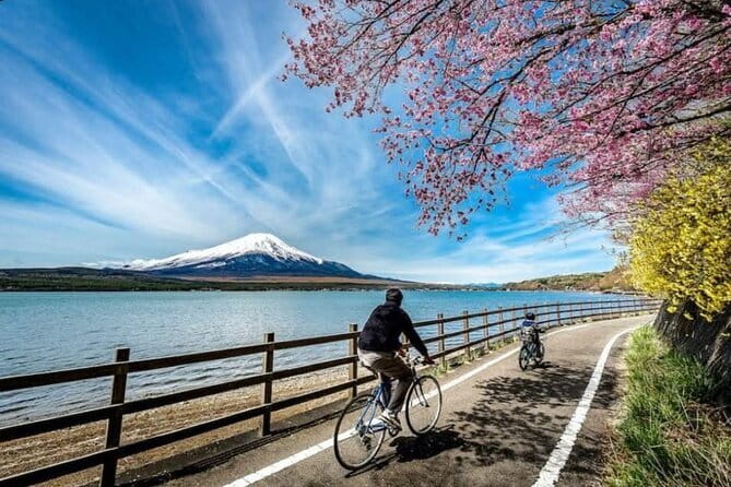 Mt fuji & Hakone customizable day tour w/ English speaking driver - Mt. Fuji 5th Station: high altitude, big views