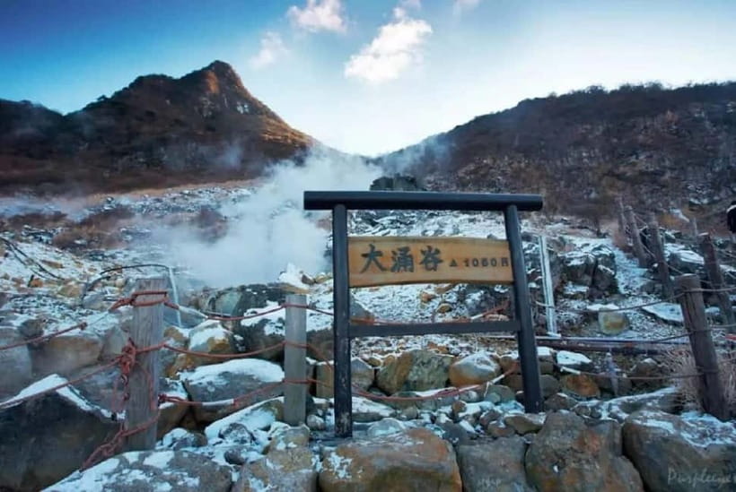 Mt.Fuji Hakone Day Tour With Lake Ashi Cruise, FREE Ropeway - Lake Yamanaka and the swans