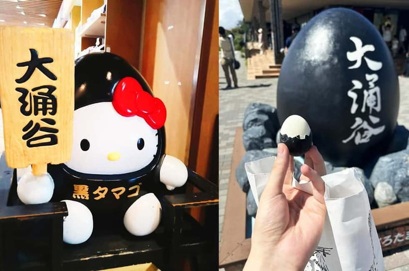 Mt Fuji Hakone/Enoshima Tour:Optional Ropeway/Lake Ashi Boat - The main drawbacks to weigh