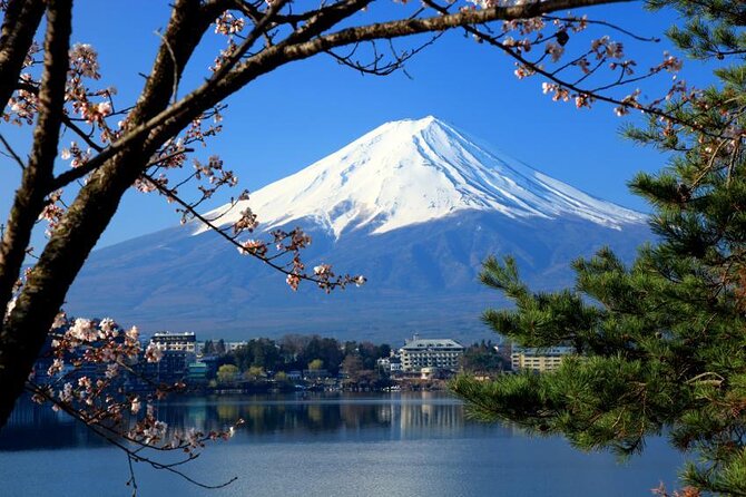 Mt. Fuji & Hakone: Fuji Sengen Shrine, Cruise, and Ramen-Making - The essentials at a glance