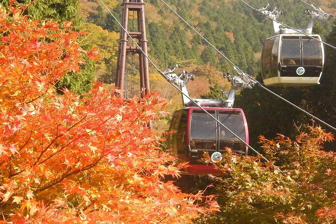Mt. Fuji & Hakone: Fuji Sengen Shrine, Cruise, and Ramen-Making - Making ramen from flour to lunch