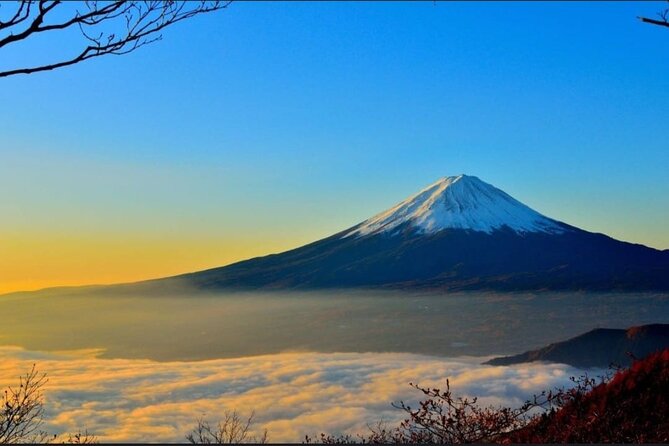 Mt. Fuji, Hakone Full-Day Private Tour with English Driver - Key things to know before booking