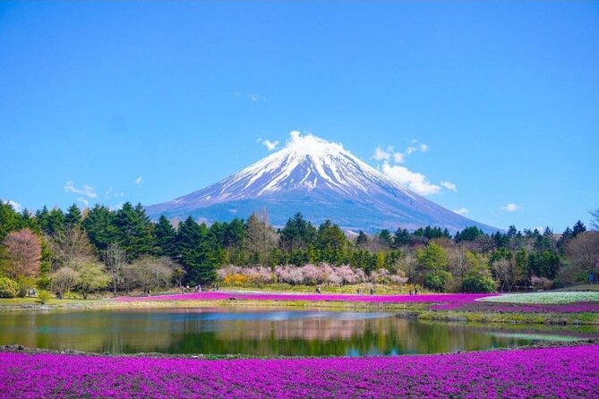 Mt. Fuji, Hakone Full-Day Private Tour with English Driver - What this $399 private tour really gives you