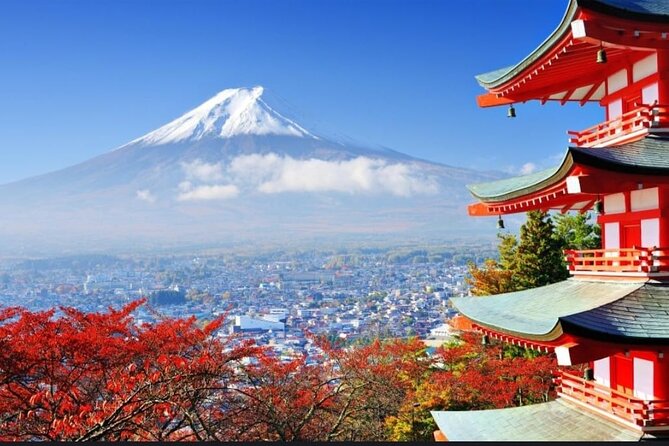 Mt. Fuji, Hakone Full-Day Private Tour with English Driver - Kitaguchi Hongu Fuji Sengen Shrine