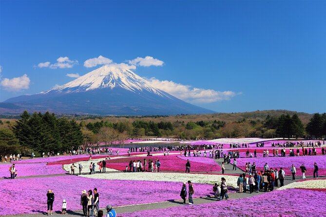 Mt. Fuji, Hakone Full-Day Private Tour with English Driver Guide - Why this private Fuji trip appeals to me