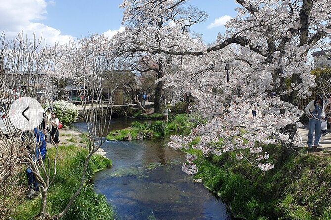 Mt. Fuji, Hakone Full-Day Private Tour with English Driver Guide - Lake Kawaguchiko gives you the classic Fuji setting