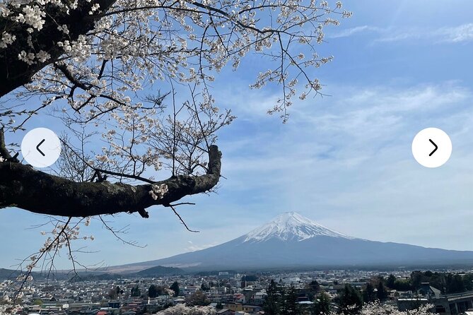 Mt. Fuji, Hakone Full-Day Private Tour with English Driver Guide - Oshino Hakkai adds a taste of rural Japan
