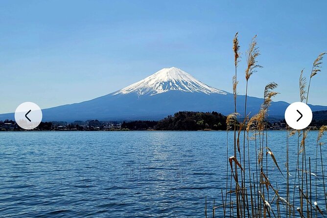 Mt. Fuji, Hakone Full-Day Private Tour with English Driver Guide - Kitaguchi Hongu Fuji Sengen Shrine brings religious context