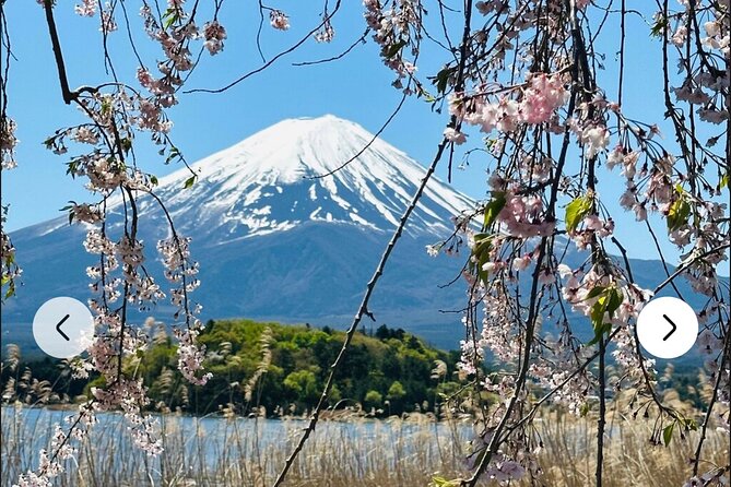 Mt. Fuji, Hakone Full-Day Private Tour with English Driver Guide - Saiko Iyashi no Sato Nenba shows an older village style