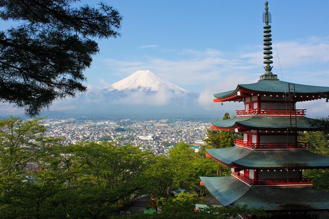 Mt. Fuji & Hakone Private Day Tour with English-Speaking Driver - What this private Fuji and Hakone day really offers
