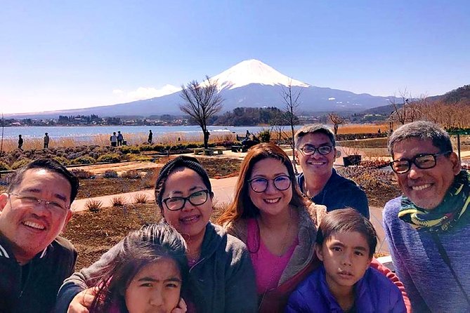 Mt. Fuji & Hakone Private Day Tour with English-Speaking Driver - The Hakone Ropeway: scenery with a time limit