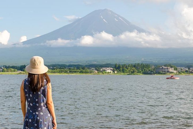 Mt. Fuji & Hakone Private Day Tour with English-Speaking Driver - Lake Ashi and the pirate ship cruise