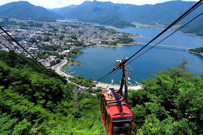 Mt. Fuji & Hakone Private Day Tour with English-Speaking Driver - Hakone Shrine: red torii, trees, and steps