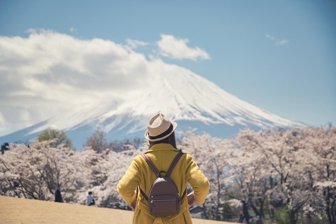 Mt. Fuji & Hakone Private Day Tour with English-Speaking Driver - Building a route that fits inside ten hours