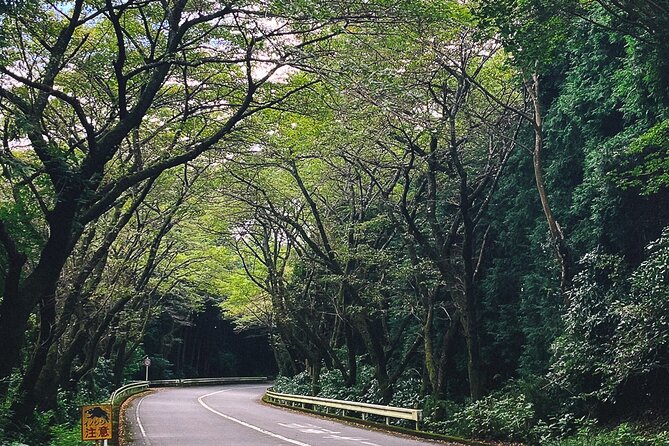 Mt. Fuji, Hakone Private Tour from Tokyo - Onsen, Arts and Nature - Hakone Shrine and Lake Ashi bring culture to the route