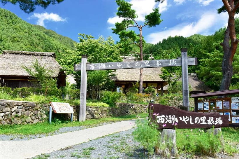 Mt. Fuji Heritage Tour: Traditional Villages, Lakes & Shrine - Tokyo to Fuji, a long but useful travel day