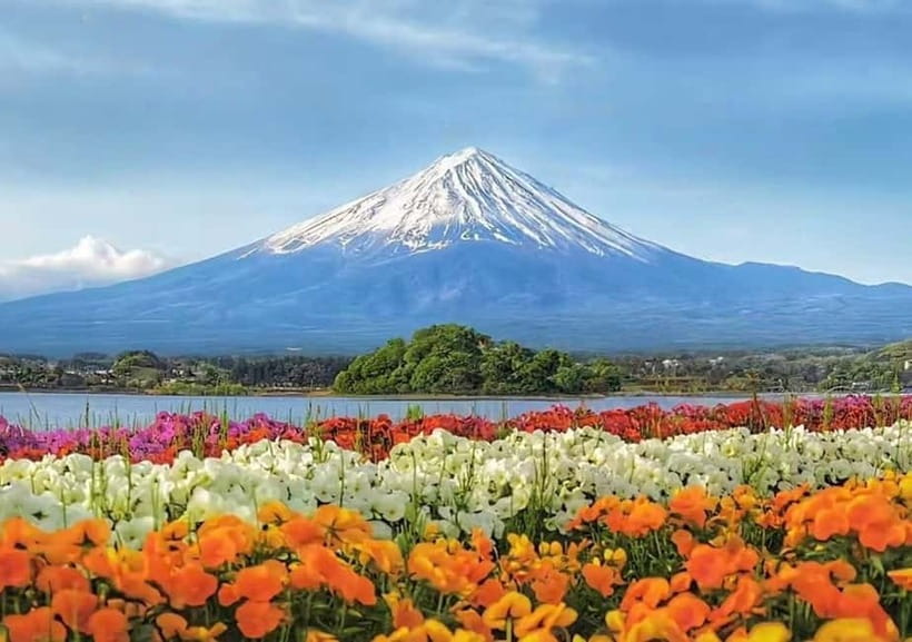 Mt. Fuji Heritage Tour: Traditional Villages, Lakes & Shrine - Arakurayama Sengen Park and the famous pagoda climb