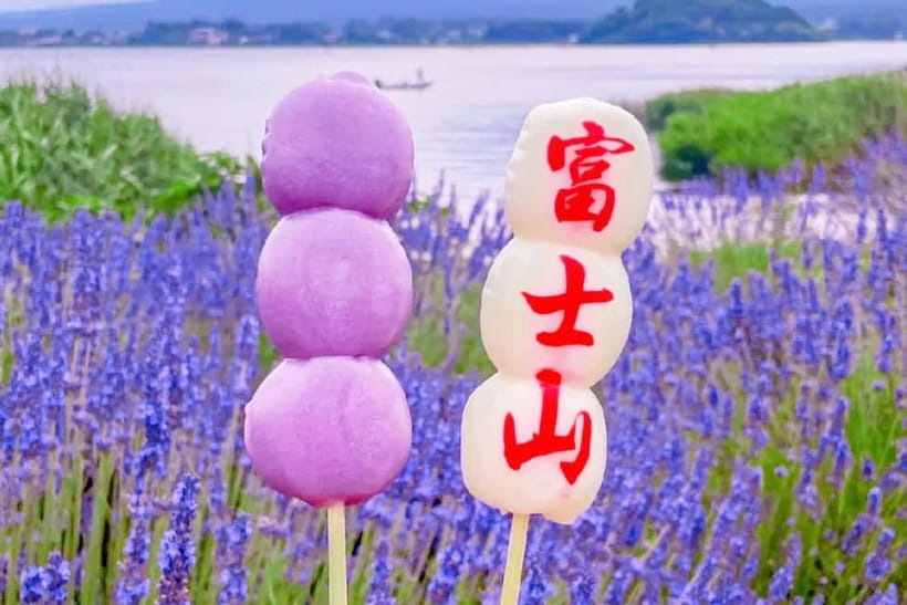 Mt. Fuji Heritage Tour: Traditional Villages, Lakes & Shrine - What the $50 price really buys you