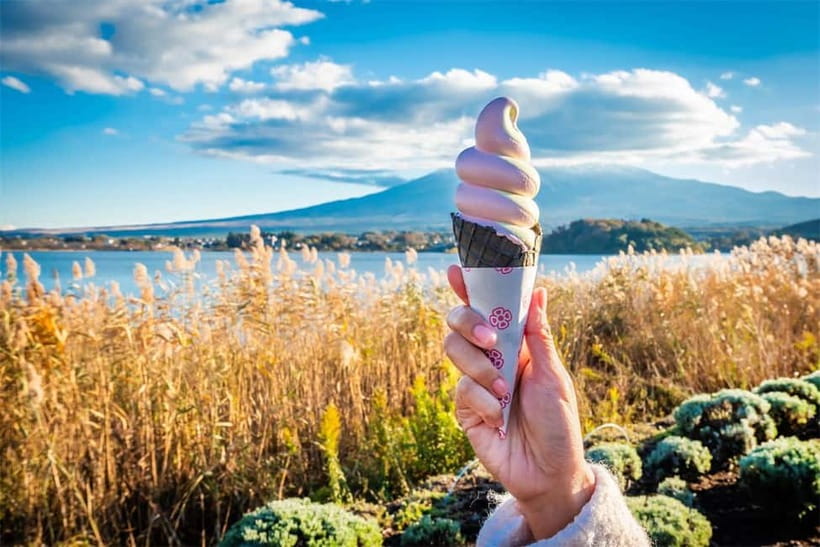 Mt. Fuji Heritage Tour: Traditional Villages, Lakes & Shrine - Weather, timing, and the Fuji gamble