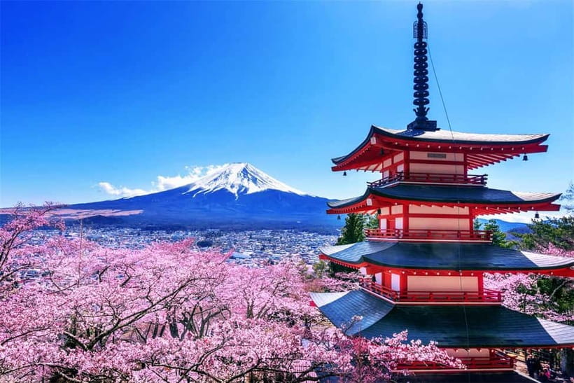 Mt. Fuji Heritage Tour: Traditional Villages, Lakes & Shrine - Who will enjoy this Mt. Fuji tour?