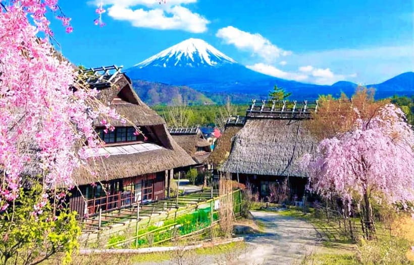 Mt. Fuji Heritage Tour: Traditional Villages, Lakes & Shrine - Saiko Iyashi no Sato Nenba and its thatched roofs
