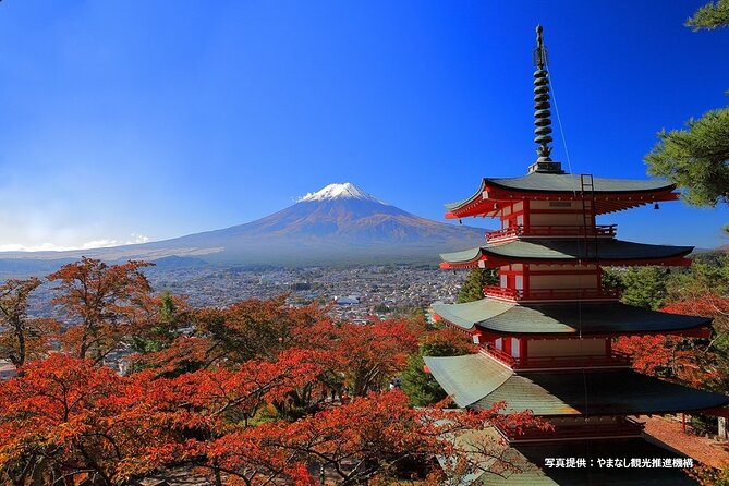 Mt. Fuji, Oishi Park & Arakurayama Pagoda Bus Tour with Lunch - Why This Day Trip Works From Tokyo