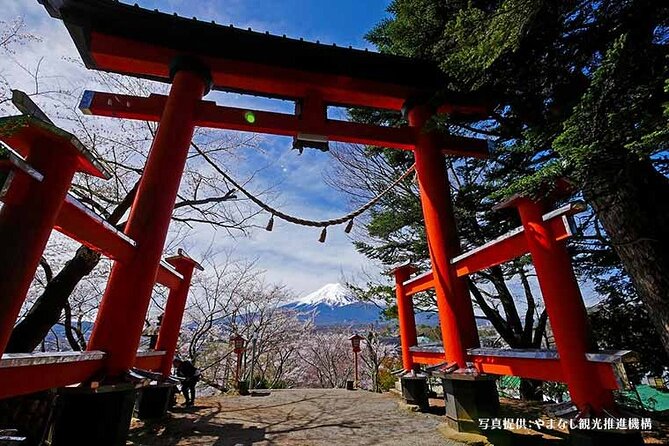 Mt. Fuji, Oishi Park & Arakurayama Pagoda Bus Tour with Lunch - Climbing to Chureito Pagoda