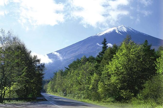 Mt. Fuji, Oishi Park & Arakurayama Pagoda Bus Tour with Lunch - The Guides Can Shape the Day