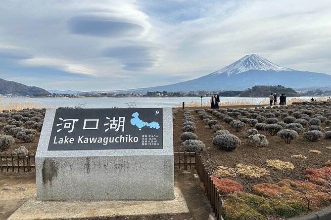 Mt. Fuji, Oishi Park & Arakurayama Pagoda Bus Tour with Lunch - Timing, Comfort, and Small Practical Details
