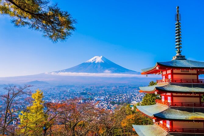 Mt Fuji Private Day Trip from Tokyo with English Speaking Driver - Five useful things to know before booking