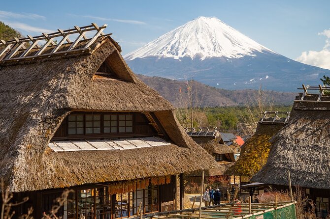 Mt Fuji Private Day Trip from Tokyo with English Speaking Driver - Oshino Hakkai: clear springs and a traditional village setting