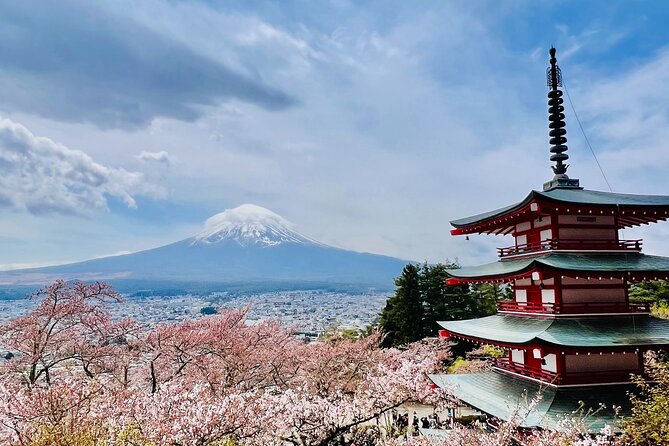 Mt Fuji Private Day Trip from Tokyo with English Speaking Driver - Lake Kawaguchiko, Oishi Park, and the ropeway