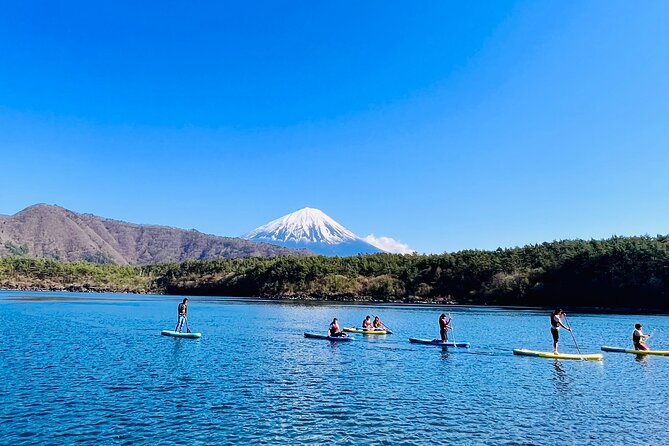 Mt Fuji Private Day Trip from Tokyo with English Speaking Driver - Lake Saiko and Iyashi no Sato Nenba