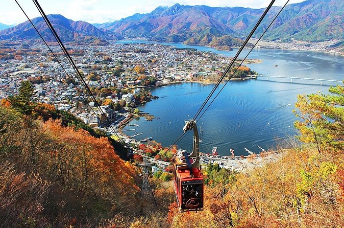 Mt Fuji Private Day Trip from Tokyo with English Speaking Driver - The driver experience and what to expect
