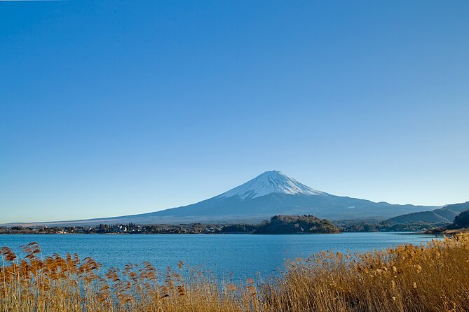 Mt Fuji Private Day Trip from Tokyo with English Speaking Driver - Chureito Pagoda and the famous Fuji view