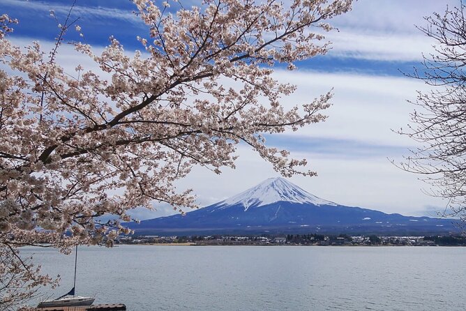 Mt Fuji Private Tour with English Speaking Driver - Fuji-Honcho Main Street and its famous view