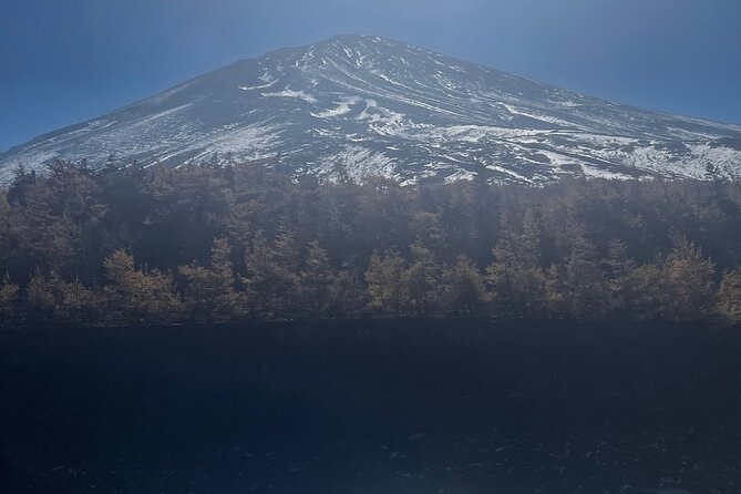 Mt Fuji Private Tour with English Speaking Driver - Two Fuji Sengen shrines with different moods