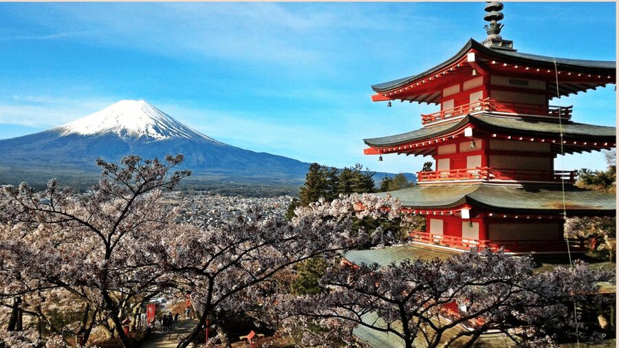Mt Fuji Sightseeing Private tour with English Speaking Guide - Fuji Sengen Shrine and Aokigahara Forest