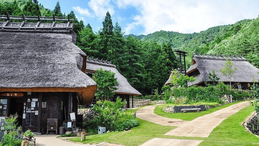 Mt Fuji Sightseeing Private tour with English Speaking Guide - Hakone Shrine and Lake Ashi