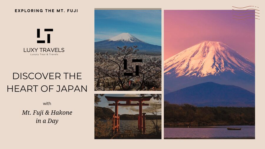 Mt Fuji Sightseeing Private tour with English Speaking Guide - Mt. Fuji 5th Station and the weather question