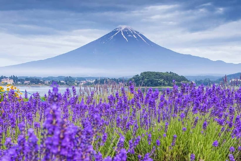 Mt Fuji Top 5 Spots Day Tour: Arakurayama Park,Oshino Hakkai - Why this Fuji tour works from Tokyo