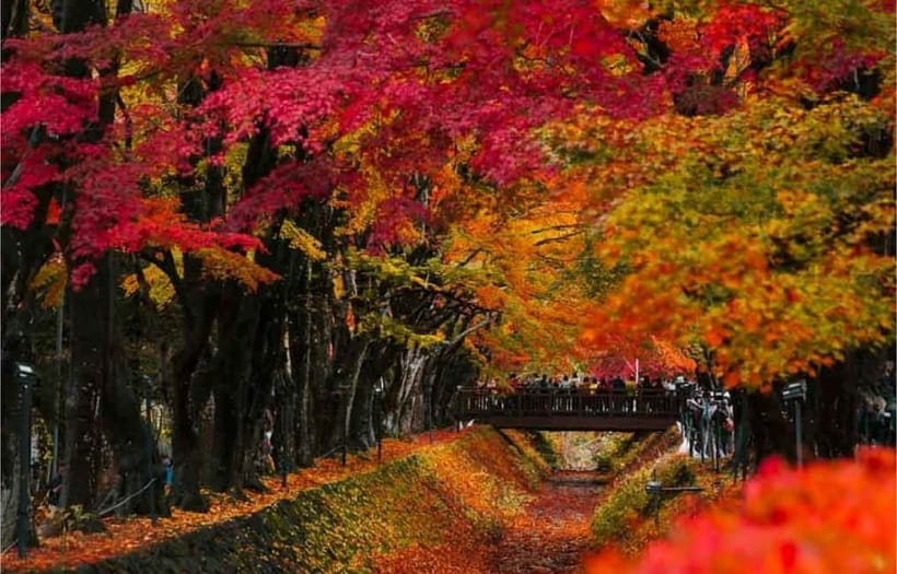 Mt Fuji Top 5 Spots Day Tour: Arakurayama Park,Oshino Hakkai - What the guides add to a busy day