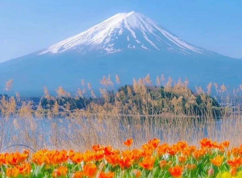 Mt Fuji Top 5 Spots Day Tour: Arakurayama Park,Oshino Hakkai - Arakurayama Sengen Park and the 397-step climb