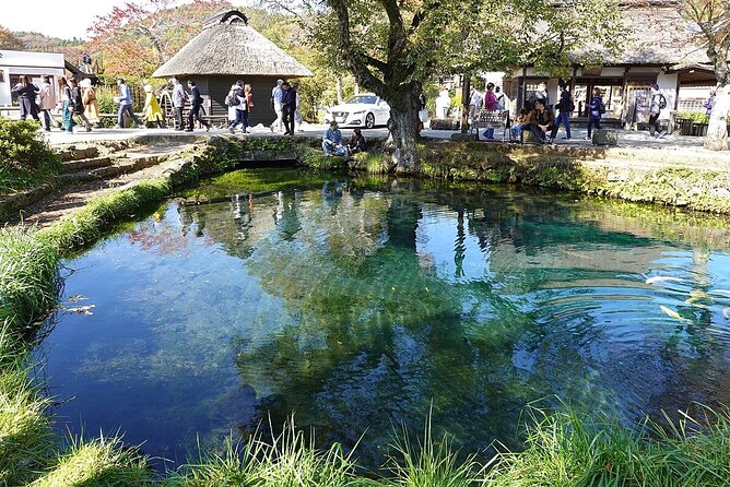 Mt. Fuji Tours with Kawaguchi Lake Ropeway View English Speaking - Oishi Park and its seasonal colors