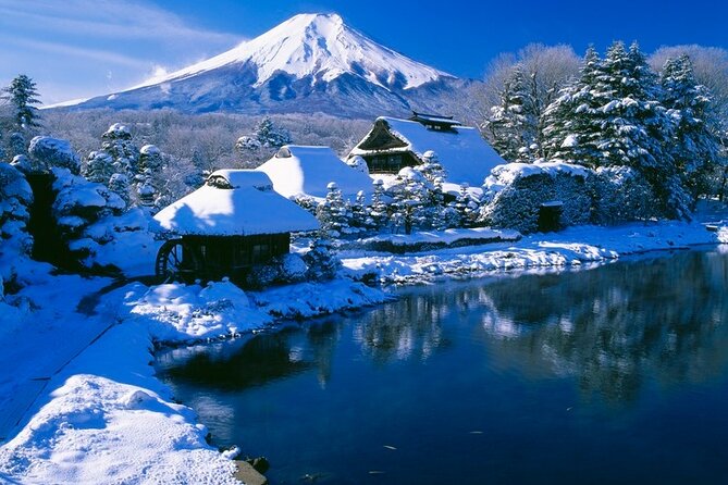Mt. Fuji Tours with Kawaguchi Lake Ropeway View English Speaking - What the guides add to the day