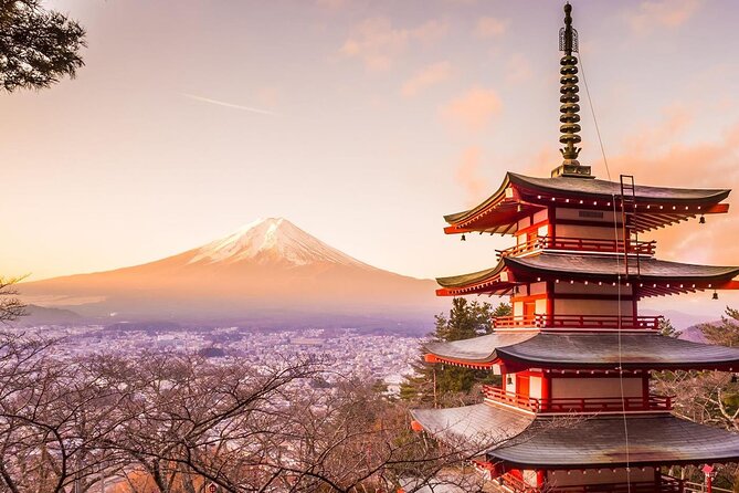 Mt. Fuji Tours with Kawaguchi Lake Ropeway View English Speaking - Meeting in Tokyo and getting on the right vehicle