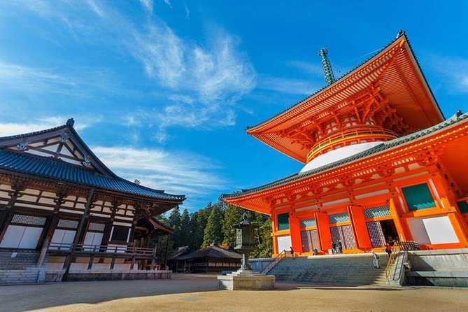 Mt. Koya Sacred Full-Day Private Tour (Osaka departure) with Licensed Guide - Danjo Garan, where Koyasan began