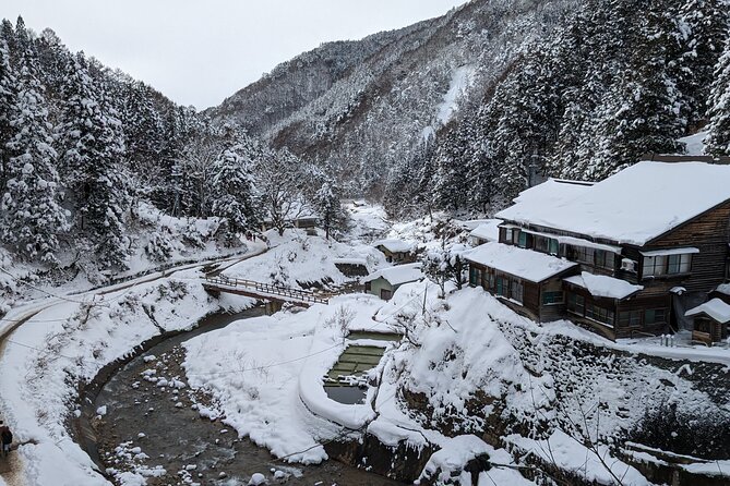 Nagano Snow Monkey 1 Day Tour with Beef Sukiyaki Lunch from Tokyo - The Walk Into Jigokudani Monkey Park