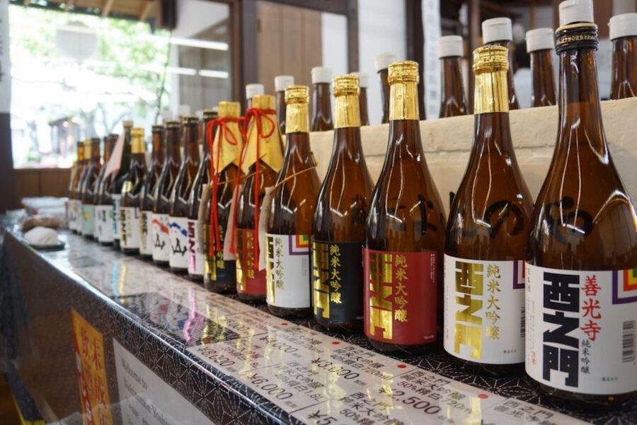 Nagano: Snow Monkeys, Zenkoji Temple & Sake Day Trip - The forest trail to Jigokudani Monkey Park