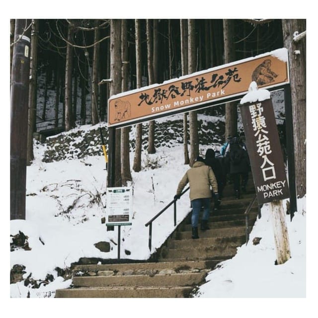 Nagano/Tokyo: Snow Monkey Private Day Tour At Lowest Rate - A private ride built for a long Nagano day